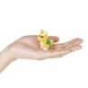 Nanoblock - Dragon Set - Pokemon