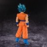 Goku (SSJ God SS) - Dragon Ball Super - Blood of Saiyans
