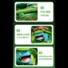 Florizarre - Pokemon - Prime Figure Ultimate