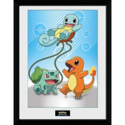 Cadre - Starters Kanto - Pokemon