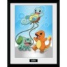 Cadre - Starters Kanto - Pokemon