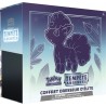Coffret Dresseur d'élite Tempête Argentée - EB12