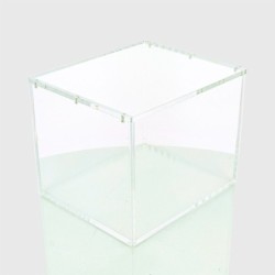 Boite Acrylique - 10 Mini Tin Display - UV99