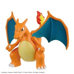 Pokepla - Dracaufeu  Dracolosse - Pokemon