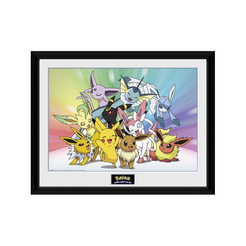Cadre - PIkachu  Evolitions - Pokemon