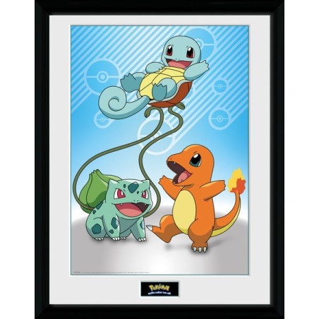 Cadre - Starters Kanto - Pokemon