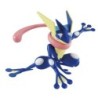 Pokepla - Amphinobi (N°47) - Pokemon