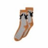 Chaussettes - Pokemon - Evoli