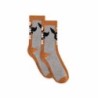 Chaussettes - Pokemon - Evoli