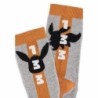 Chaussettes - Pokemon - Evoli