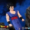 Son Gohan - Dragon Ball Super : Super Hero - Solid Edge Works