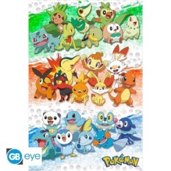 Poster - Premiers Partenaires - Pokemon - Roulé  filmé