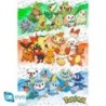 Poster - Premiers Partenaires - Pokemon - Roulé  filmé