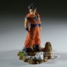 Son Gohan (Adulte) - Dragon Ball Z - History Box