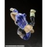 S.H. Figuarts - Kiwi - Dragon Ball