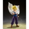S.H.Figuarts - Son Gohan - Dragon Ball Z