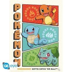 Portfolio posters - Starters - Pokemon