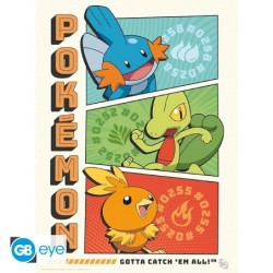 Portfolio posters - Starters - Pokemon