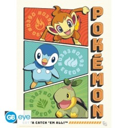 Portfolio posters - Starters - Pokemon