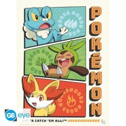 Portfolio posters - Starters - Pokemon