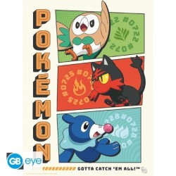 Portfolio posters - Starters - Pokemon