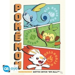 Portfolio posters - Starters - Pokemon