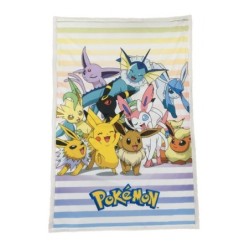Couverture - Evoli  évolutions  Pikachu - Pokemon