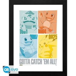 Cadre - Pikachu  Kanto Starters - Pokemon