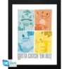Cadre - Pikachu  Kanto Starters - Pokemon